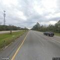 Dog in median creating traffic hazard