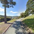 Woman hiding behind tree in Oliver Park