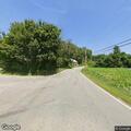 Kitten reported running in roadway near West Road