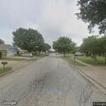 Animal blocking roadway on Chisholm Trail