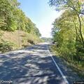 Wild boars causing traffic hazard on Knoxville Highway