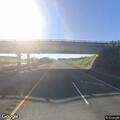 Brown dog on southbound I-5 near Corning Road
