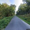 Large tree blocks Brownsville Road near north side