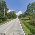 Deer in roadway on State Route 82 in Aurora