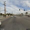 Pack of dogs running in traffic lanes