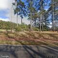 Tree limb reported in roadway on Summit Homestead Road