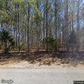 Large burn piles along Highway 76 near Fortune Road