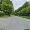 Single-car crash with trapped driver and animal