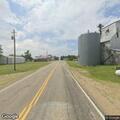 Cattle blocking roadway on 223rd Street near Ward