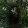 Single car crash into tree with injuries