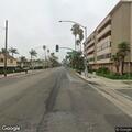 Fallen palm tree blocking traffic on Ocean Blvd