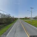 Dead animal on Route 75 near pole number eight