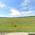 Horse loose in hay field near roadway