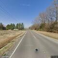 Dog reported running into traffic on Route 246