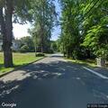 Loose dogs reported near Park Road and Hugh Hill Lane