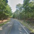 Downed tree limbs on Fresh Pond Road