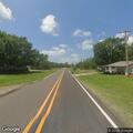 Deer blocking lane on Farm to Market Road 909