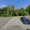 Deer carcass blocking road at Durant Road and Capel