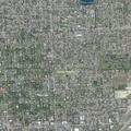 Loose dogs reported near Sunset Palms West homes