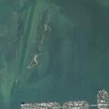 Young child reported sick and dizzy in Miami Beach
