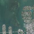 72-year-old male vomiting near Miami Beach