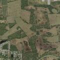 Person reported suicidal at residence in Immokalee