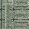 Responder dispatched for traumatic injury in Cape Coral