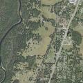 Woman falls near Highway 17/92 West