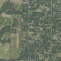 76-year-old man feels dizzy and vomits in Arcadia