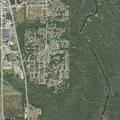 Person with general illness at Martin Luther King Jr Ave