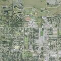 Person found dead after suicide attempt near Palmetto