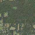 Person fallen near Pelote Cemetery Road in Lithia