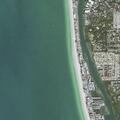Search for missing swimmer near Indian Shores
