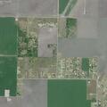 Loose cattle reported near County Road 3667