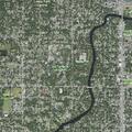 Person fell near N Willow Avenue in Tampa