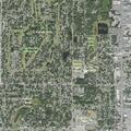 Person experiencing chest pain near North Willow Avenue
