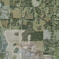 Woman vomits blood near Forest Path Drive