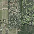 70-year-old woman falls, has head injury in Haines City