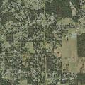 Patient falls near Payne Street in Kathleen, FL