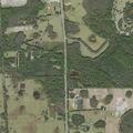 86-year-old man with fever near Polk City