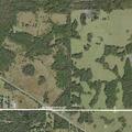 Car crashes into tree on Highway 98 North