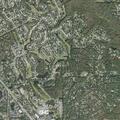 Medical call near Pine Cone Lane in Longwood