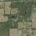 Person with abdominal bloating reported in Floral City