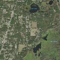 Person reporting body swelling and illness at home