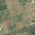 Loose horses and donkeys reported on property