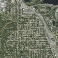 Person with probable level fall near Palm Avenue