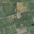 Loose cow creating hazard on rural roadway