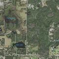 Person experiencing abdominal pain at Dixon Lake Rd