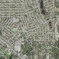 Person reported sick near Fernwood Street