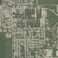 Person suffering allergic reaction near Deltona